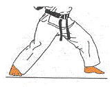 position Fudo Dachi