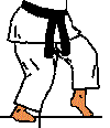 position Neko Ashi Dachi